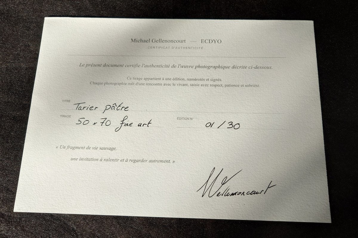 Certificat d’authenticité signé, portant le titre de l’œuvre, son format et son numéro d’édition