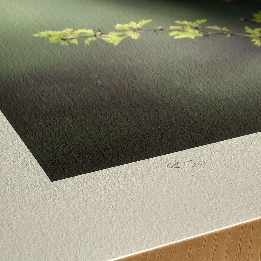 Coin d’un tirage sur papier fine art&nbsp;: la marge blanche, le grain du papier, et le numéro d’édition écrit au crayon