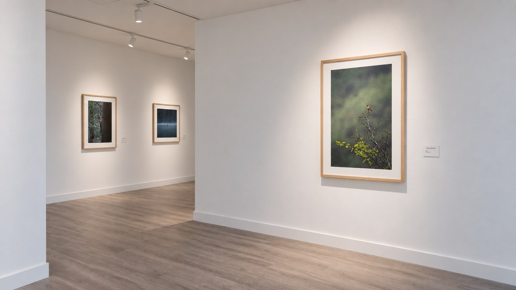Trois tirages encadrés accrochés dans une salle d’exposition, dont un grand format éclairé et son cartel